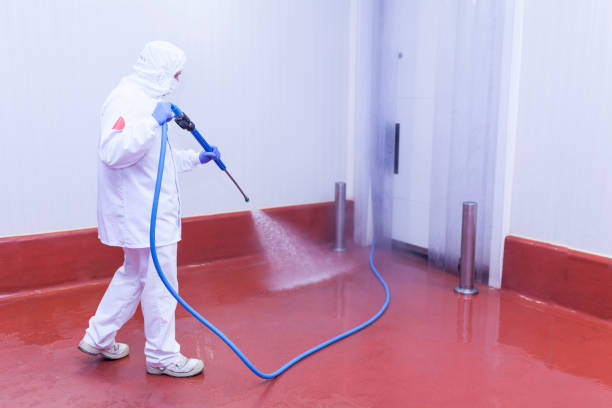 Best Dumpster Area Cleaning  in Woodville, CA